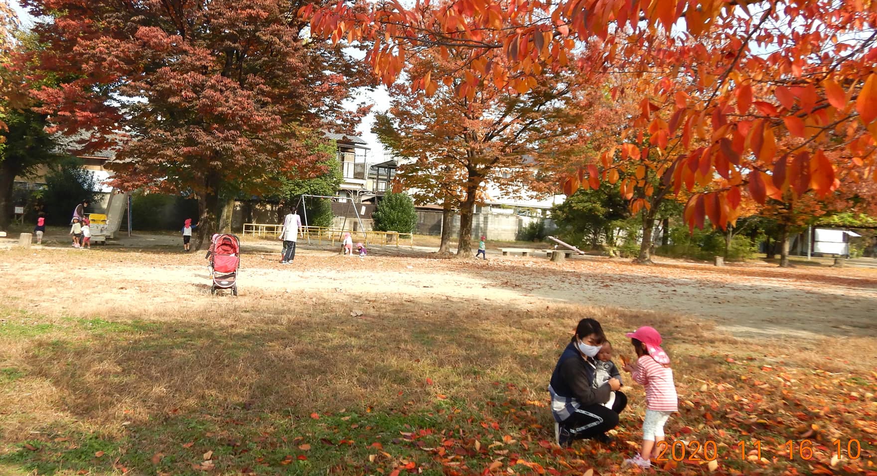 秋スライド写真