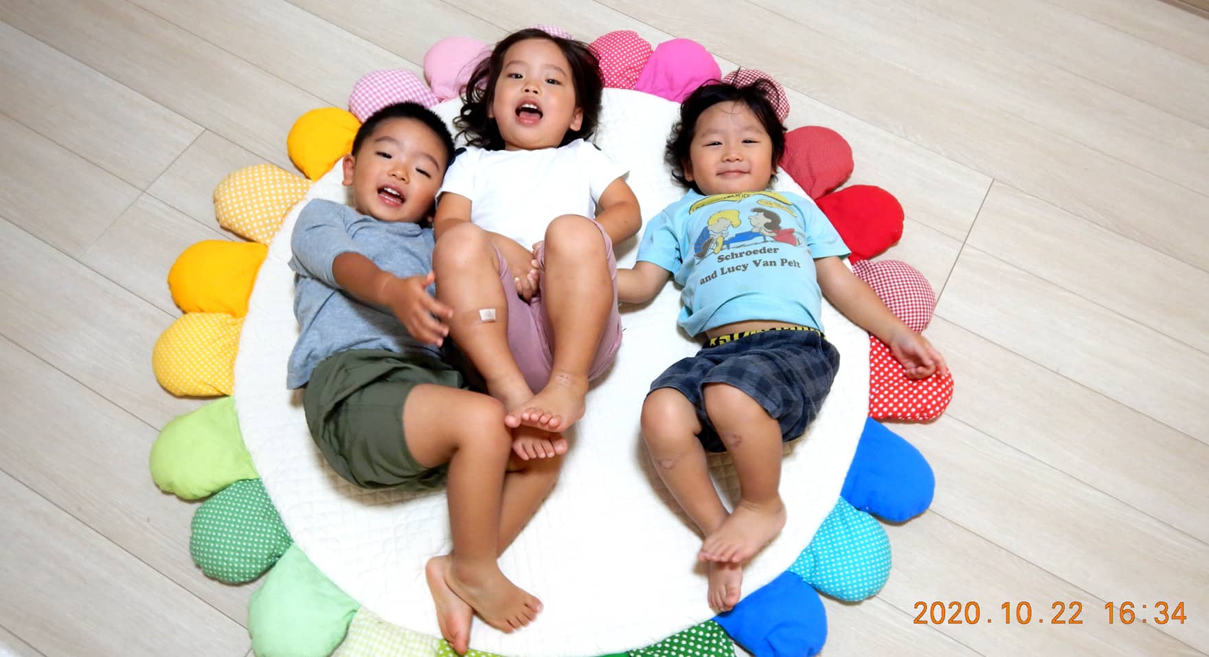 てんとうむしライフスライド写真