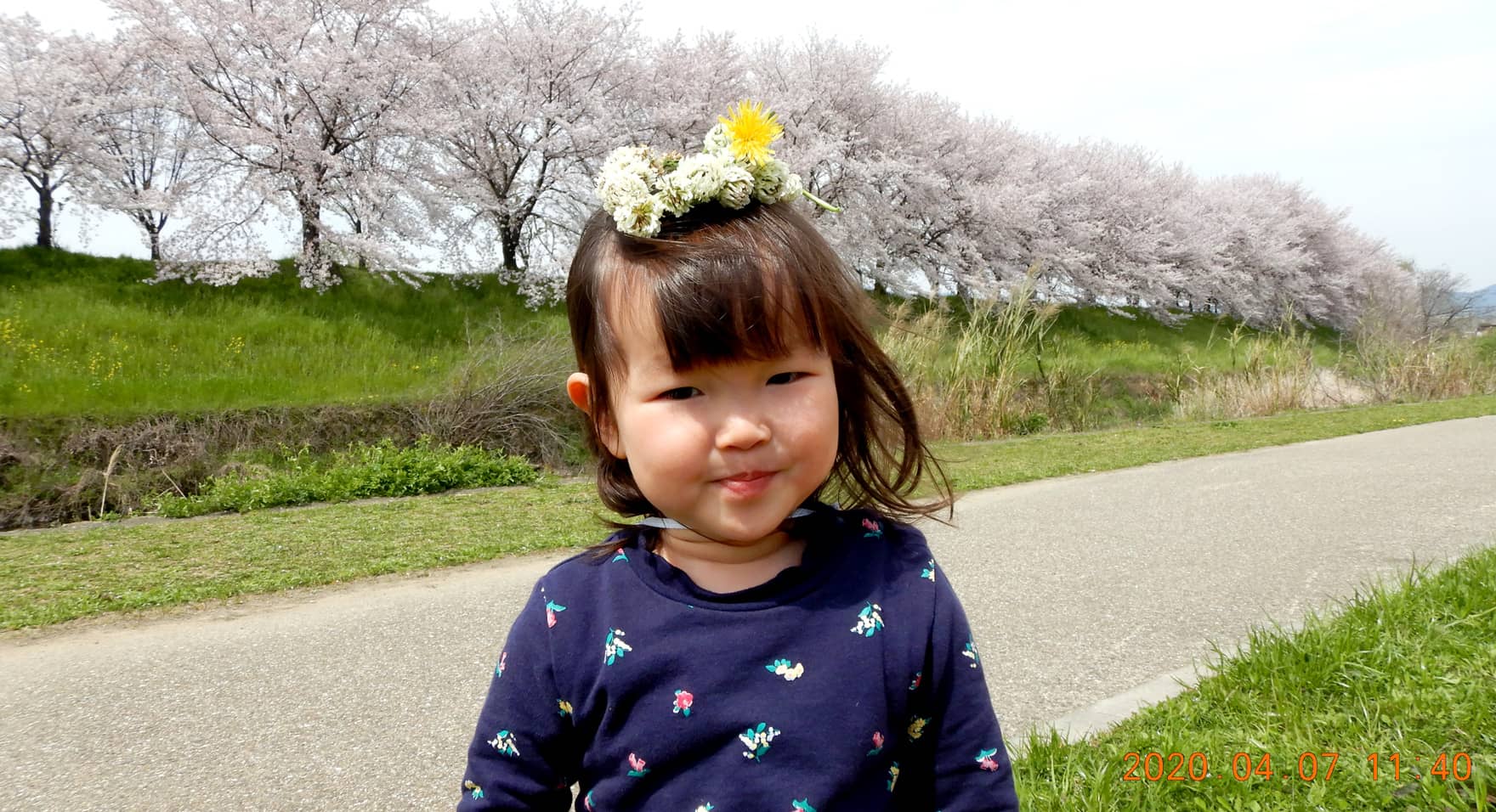 春スライド写真