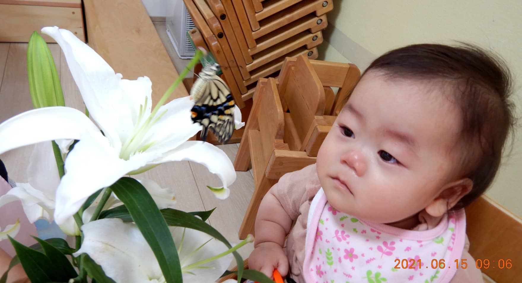 春スライド写真