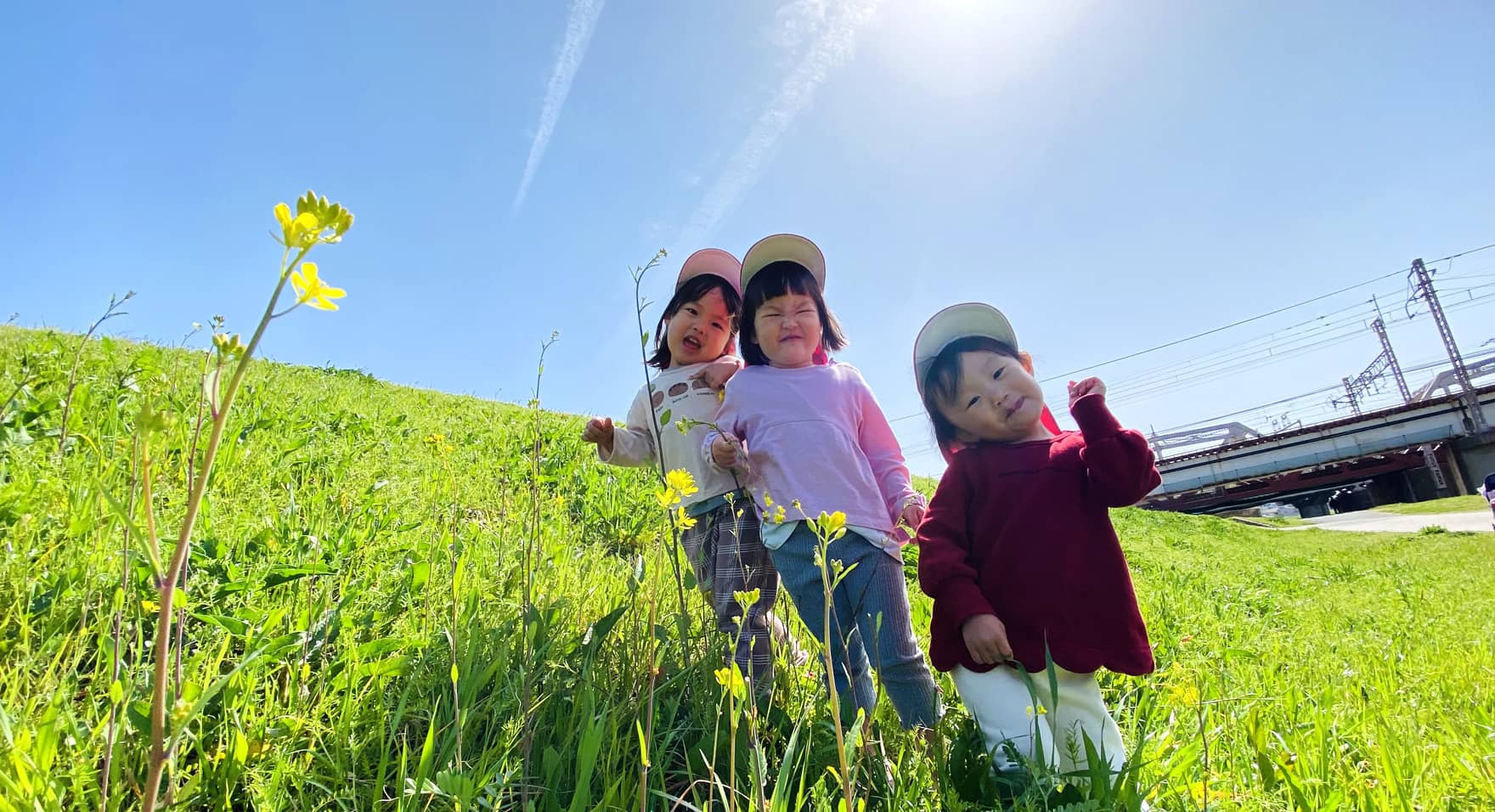 春スライド写真