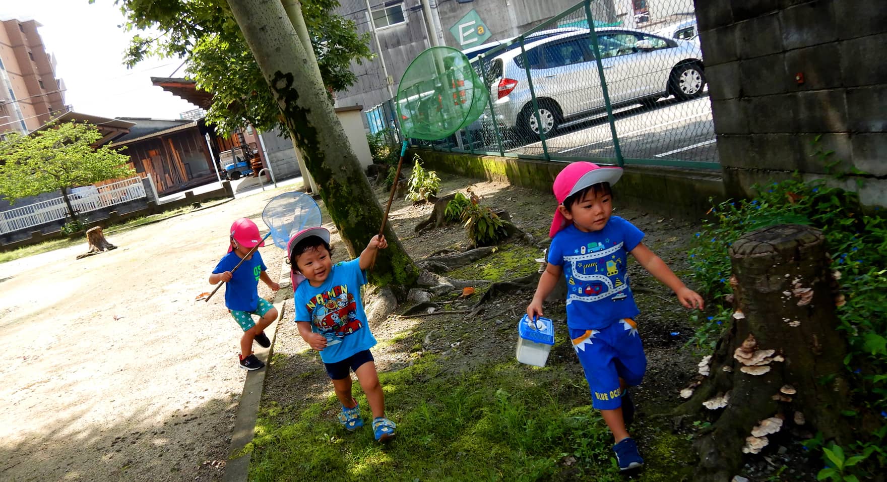 夏スライド写真